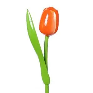 Tulip on a stem  orange white